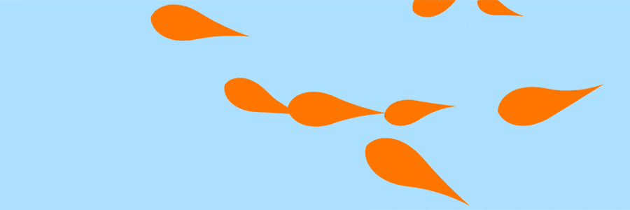 Animated preview of orange fish swimming around
