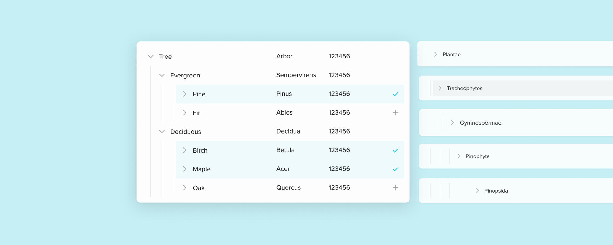 Web mockup of Audience creation on VideoAmp platform